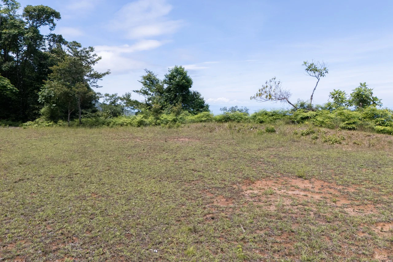 Near the Coast Home Construction Site For Sale in Dominical - Gallery image 15