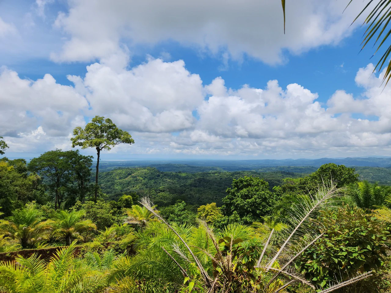 PRIME PARRITA FARM FOR SALE - Gallery image 32