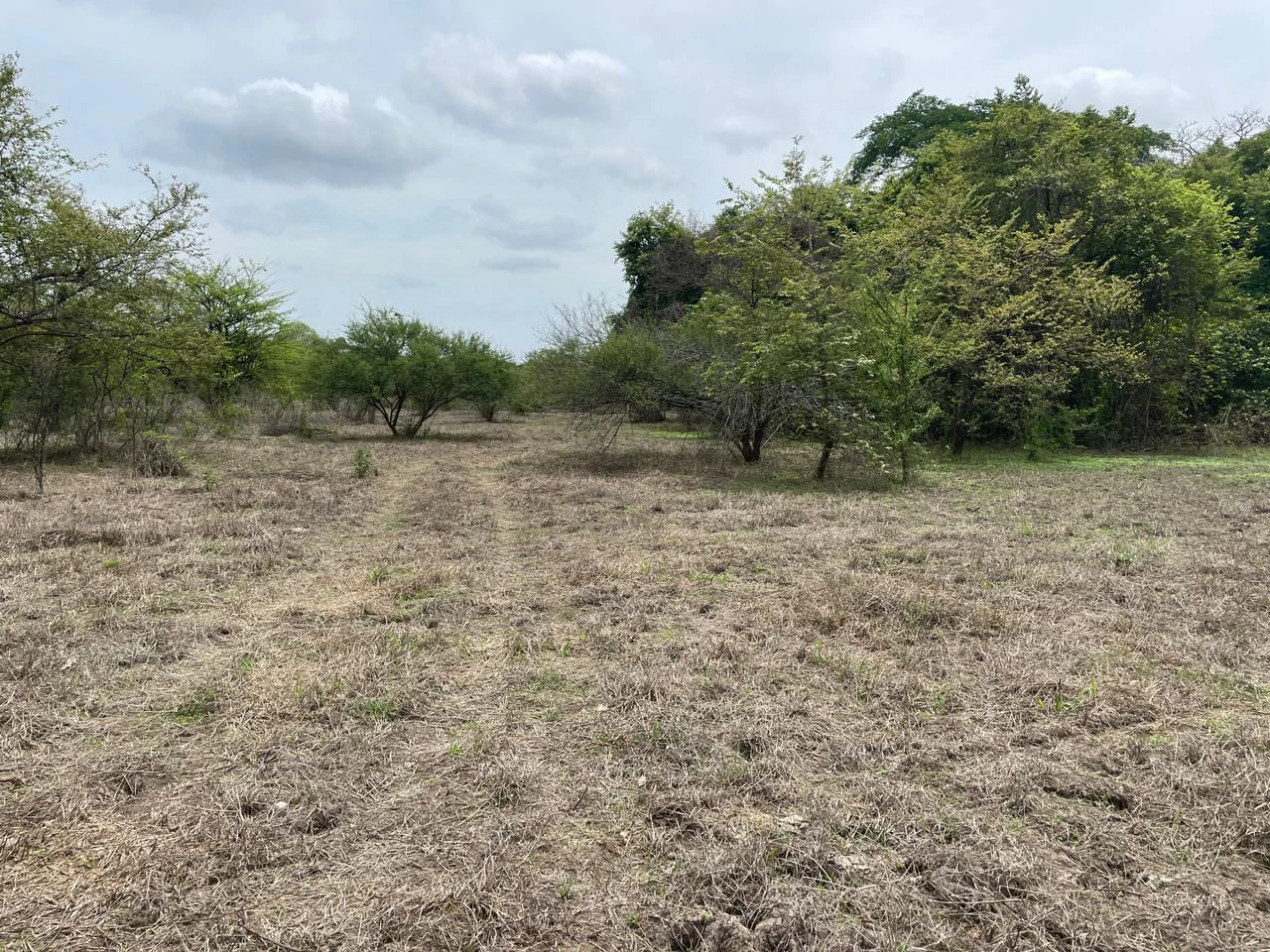 BEST PRICE! For sale comercial Property for warehouses or free zone, 1 km from Liberia Airport, Guanacaste, CR - Gallery image 10