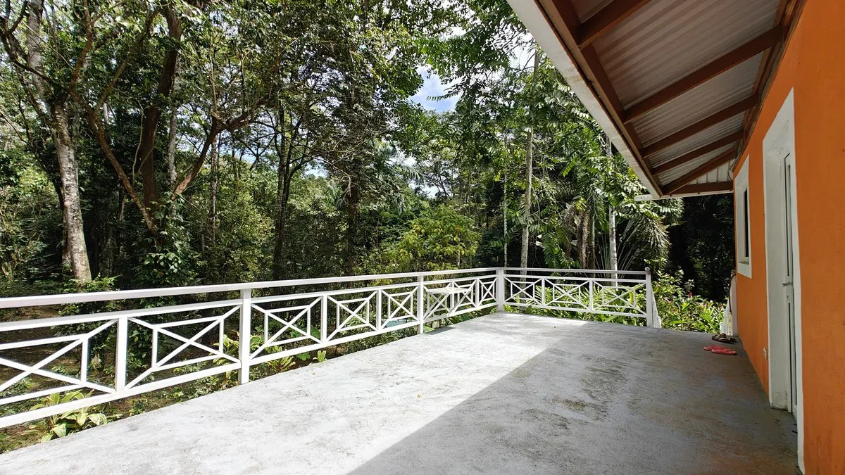 ID 1055: Elevated Jungle Residence on Expansive Riverfront Jungle Land - Gallery image 8