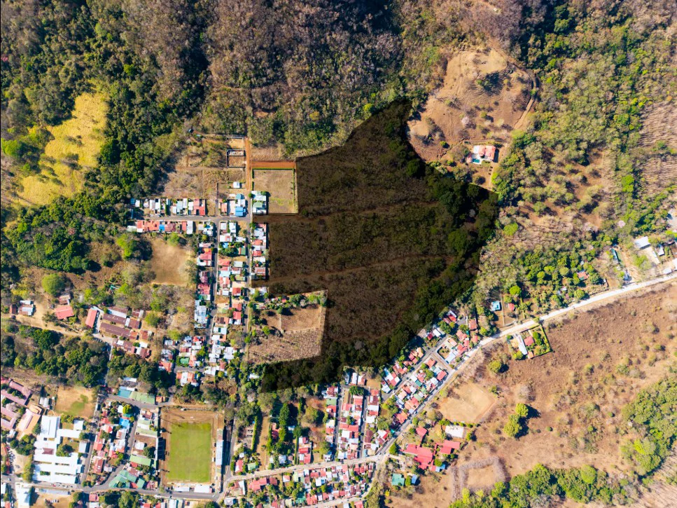 Discover Your Dream Farm on 4.2 Hectares in Costa Rica - Gallery image 13