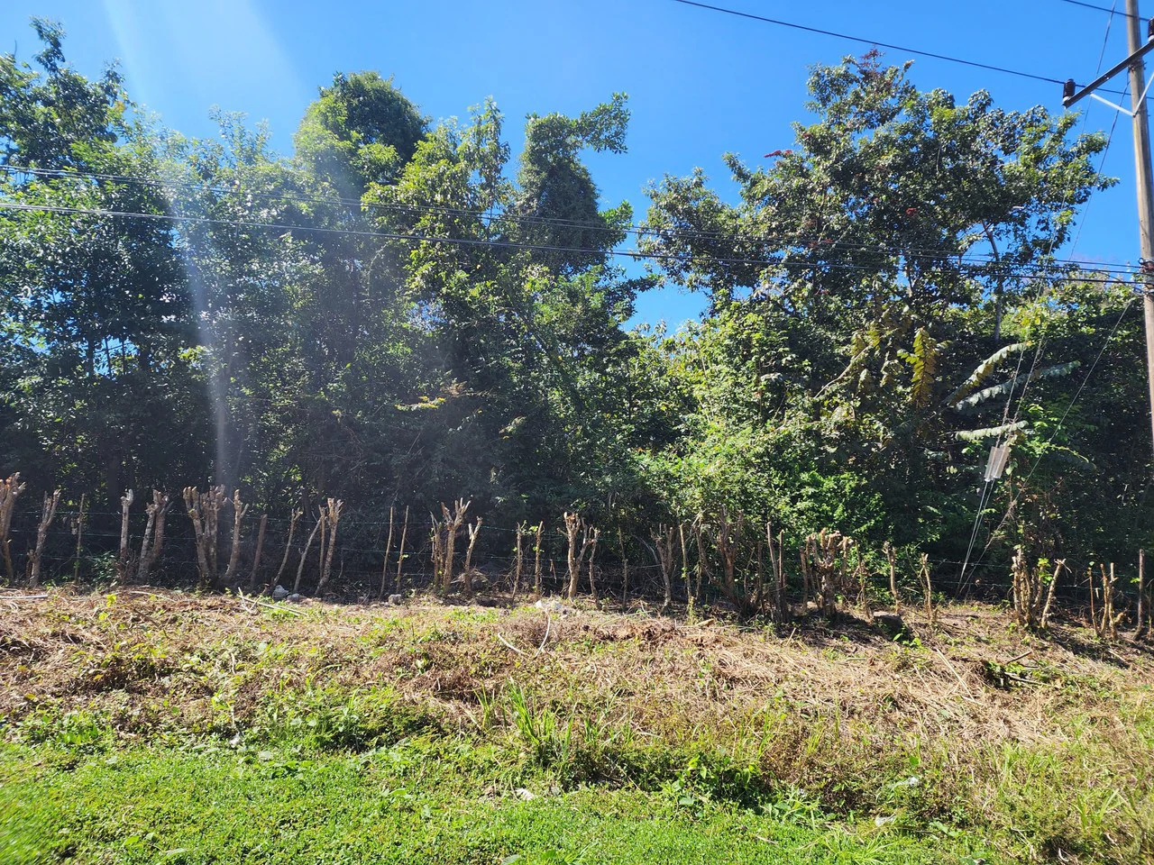 Near the Coast and Countryside Development Parcel For Sale in Coyolar - Gallery image 7