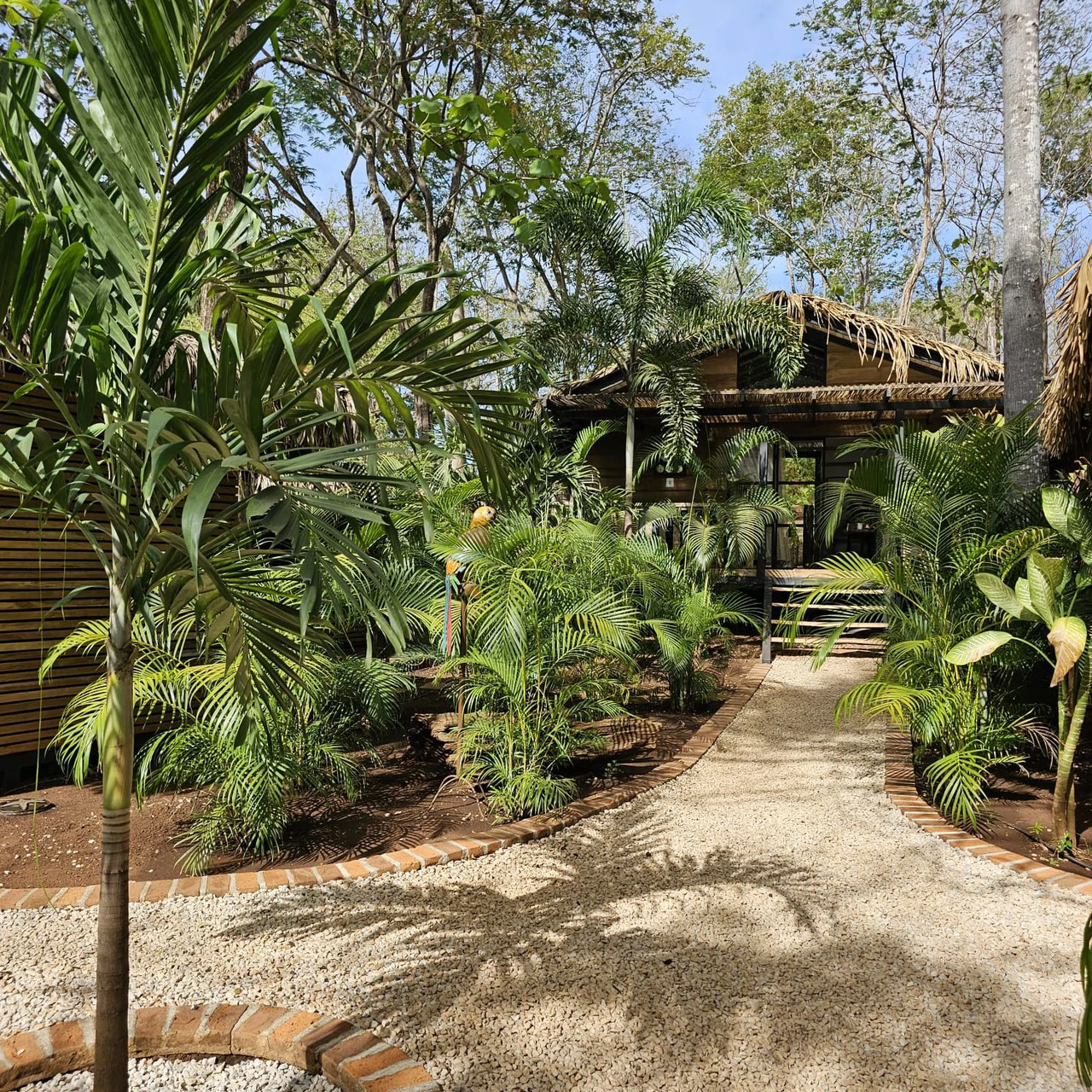 Successful Wellness and Spa with restaurant: One Of A Kind, Successful Wellness, Spa And Restaurant Oasis Close To Tamarindo - Gallery image 48