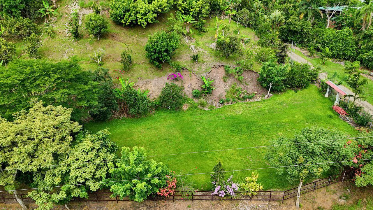 Charming Hardwood Cabin with Fruit Garden Near San Isidro - Gallery image 50