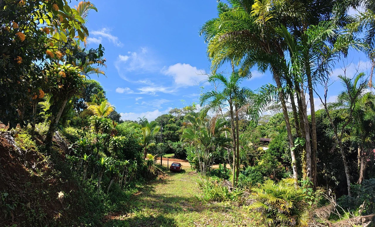 FOR SALE IN LAS MERCEDES DE CAJÓN, PEREZ ZELEDON: Lot for Sale in Las Mercedes de Cajon, Perez Zeledon 2,466 m² - Gallery image 7
