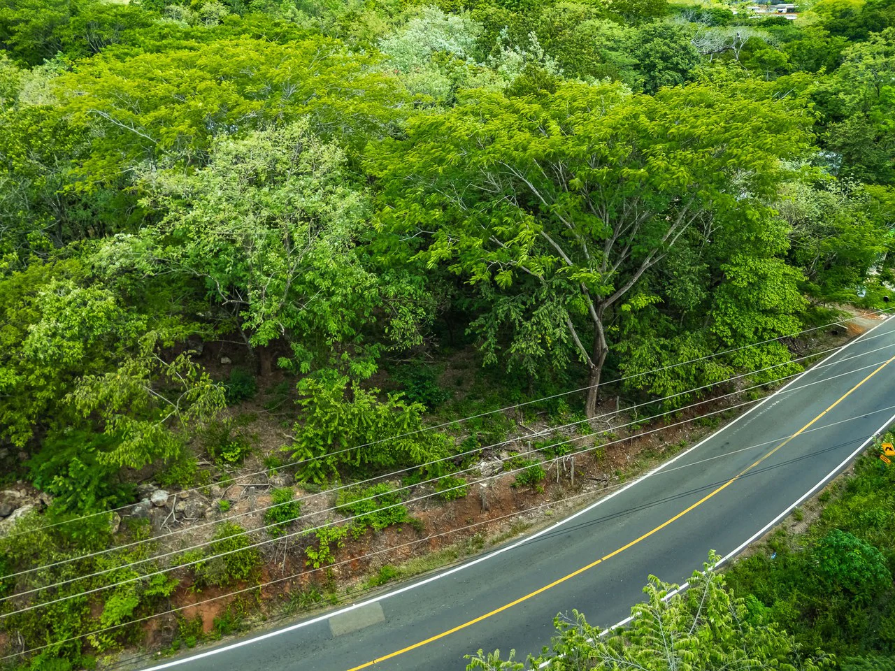 Los Jobos Lot: 1,146 m² Lot Just Minutes from Tamarindo – Paved Road, Water & Electricity - photo 11