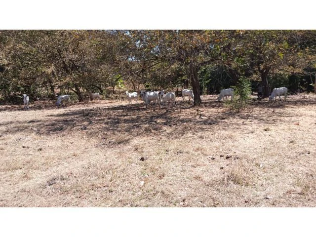 3 Flat topography properties for sale near Playas del Coco, Great building potential in the province of Guanacaste - Gallery image 19