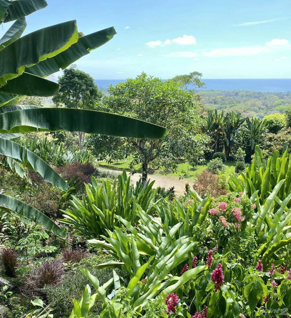 Casa Thai: Ocean View Villa in Uvita with Proven Airbnb Income and Luxury Tropical Living - Gallery image 49