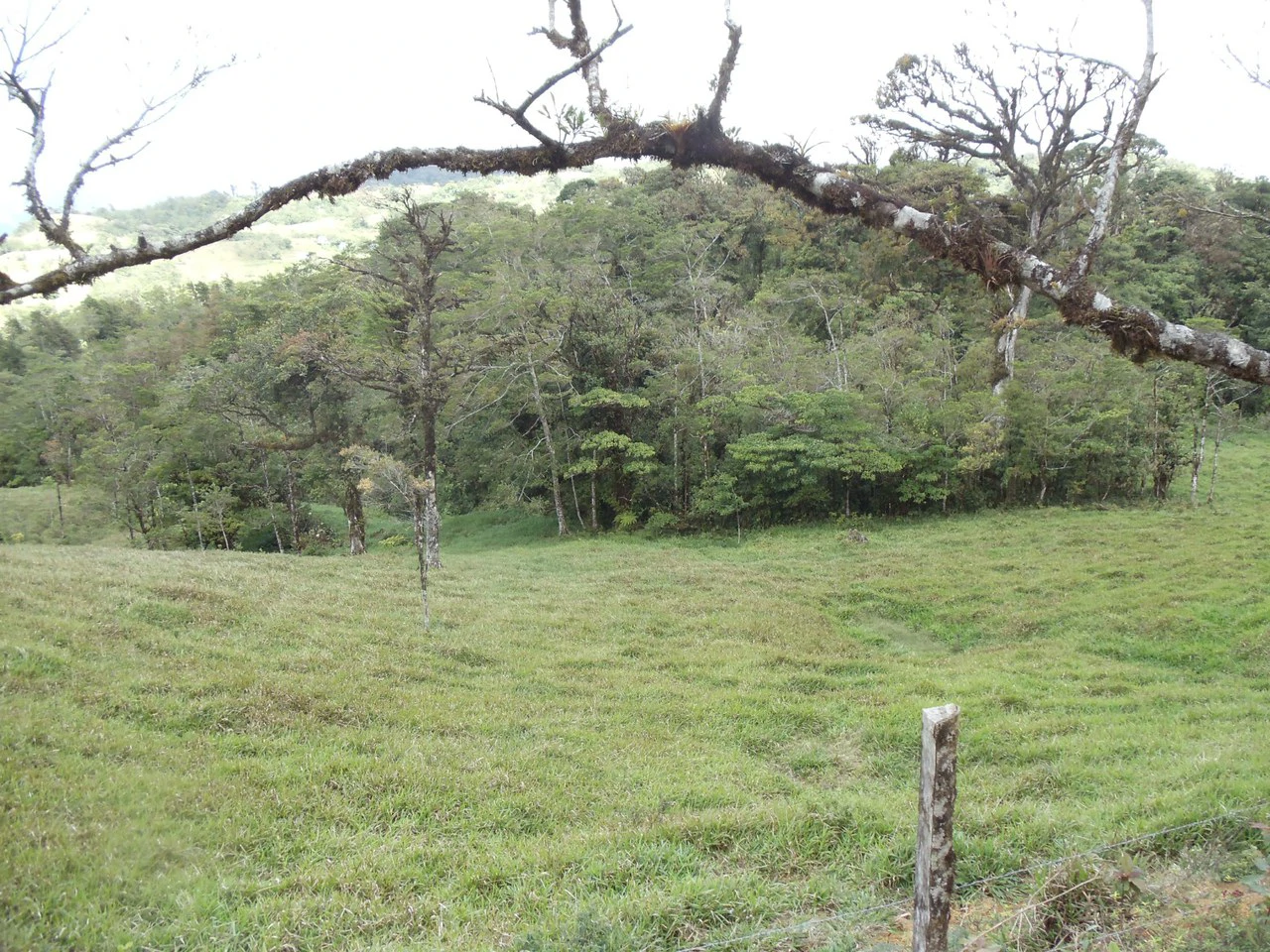 Fantastic property near Biological Reserve - Gallery image 15
