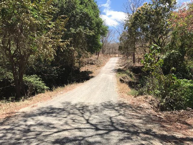 Huge terrain for sale in Guardia close to the International Airport of Liberia - Gallery image 10