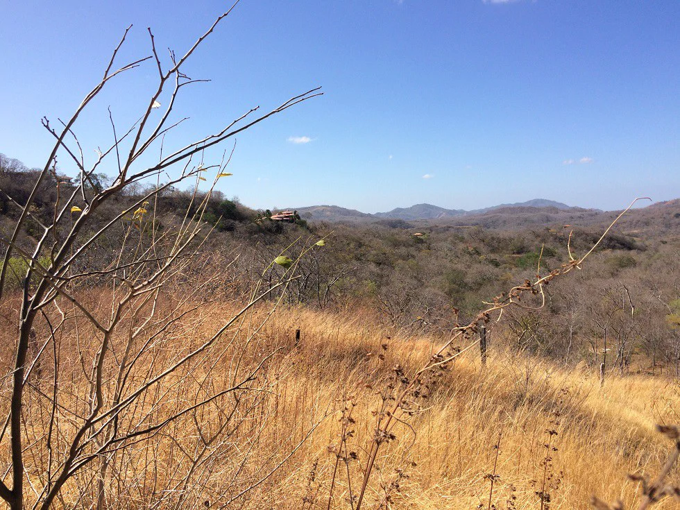 Ocean view property in the area of Guanacaste, great commercial opportunity near the Hotel Riu - Gallery image 10