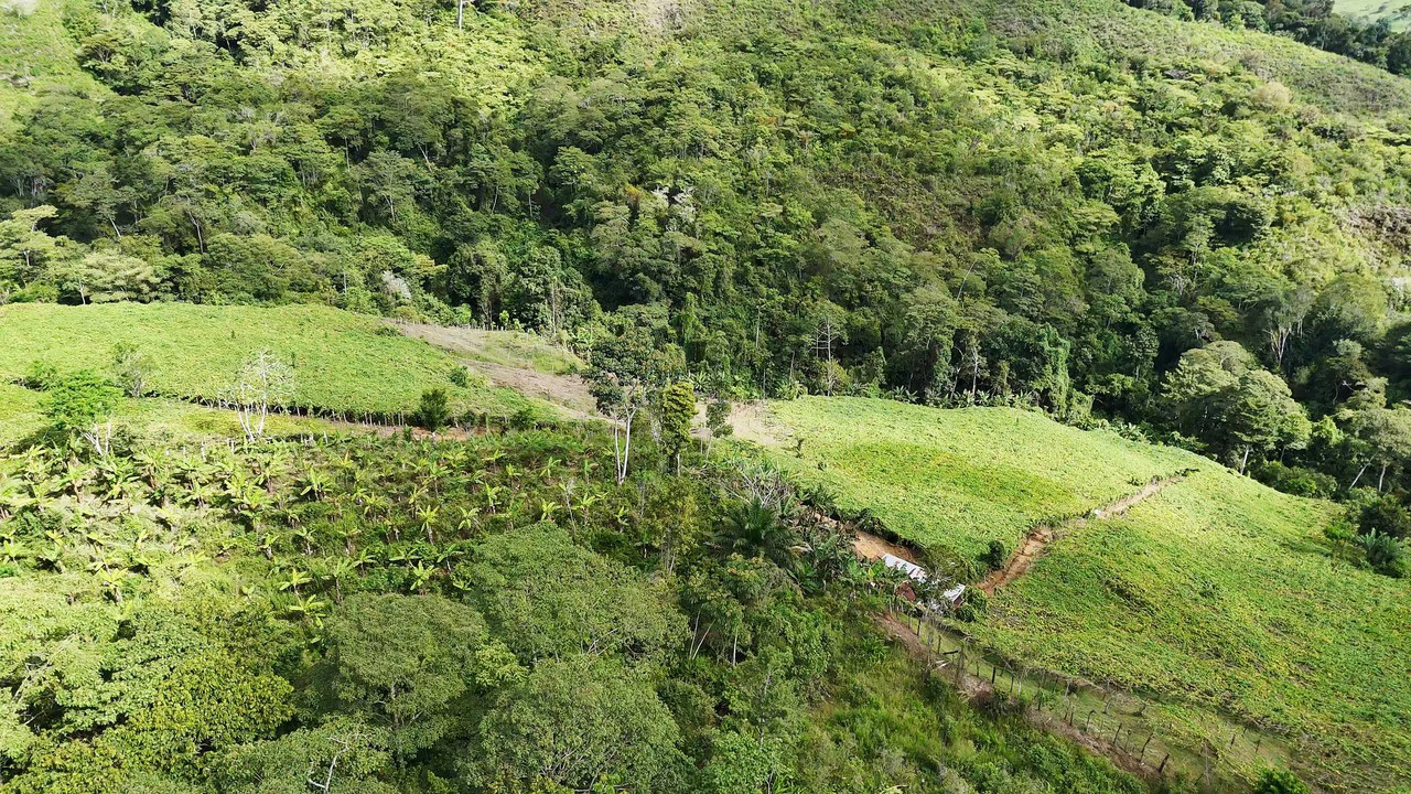 Mountain Agricultural Land For Sale in San Isidro del General - Gallery image 15