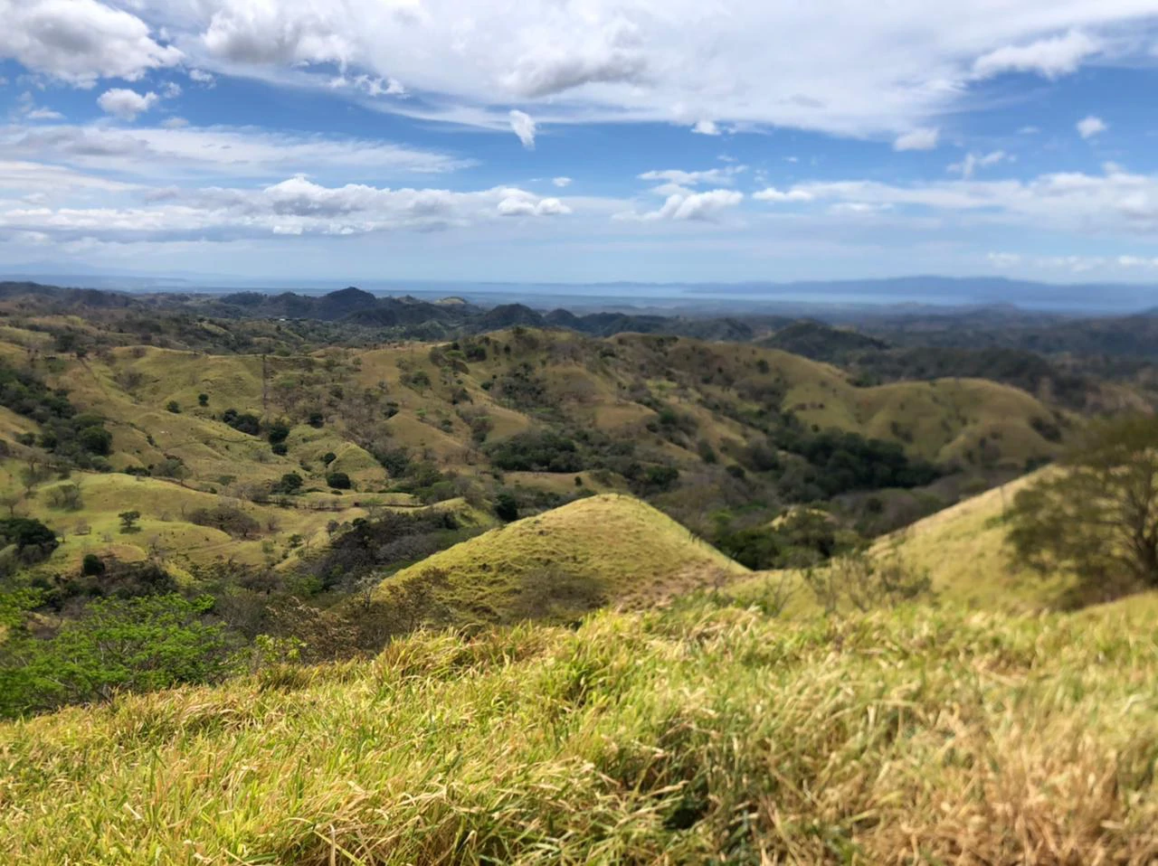Costa Rica horse Farmland close to Monteverde