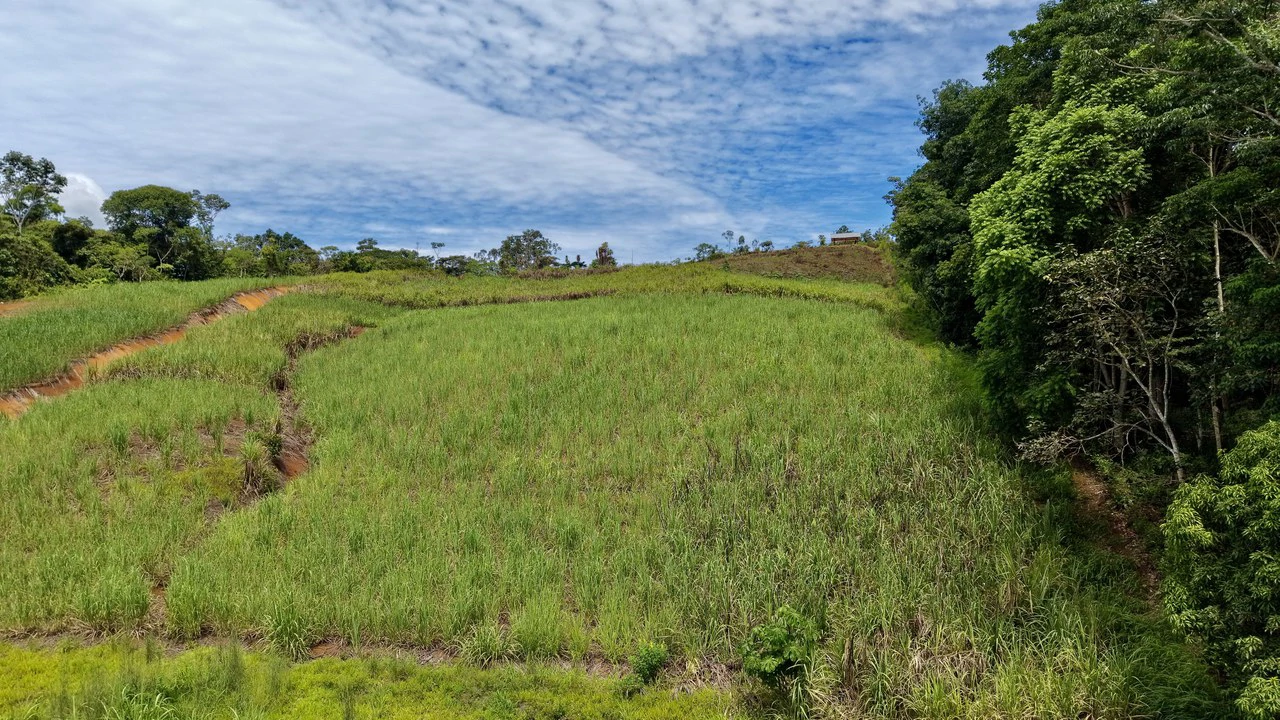 Development Parcel For Sale in Daniel Flores - Gallery image 15