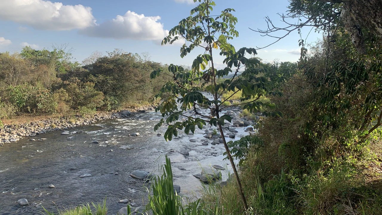 Talari Hotel: Nature and Bird Lover's Paradise - Mountain Lodge - Gallery image 38