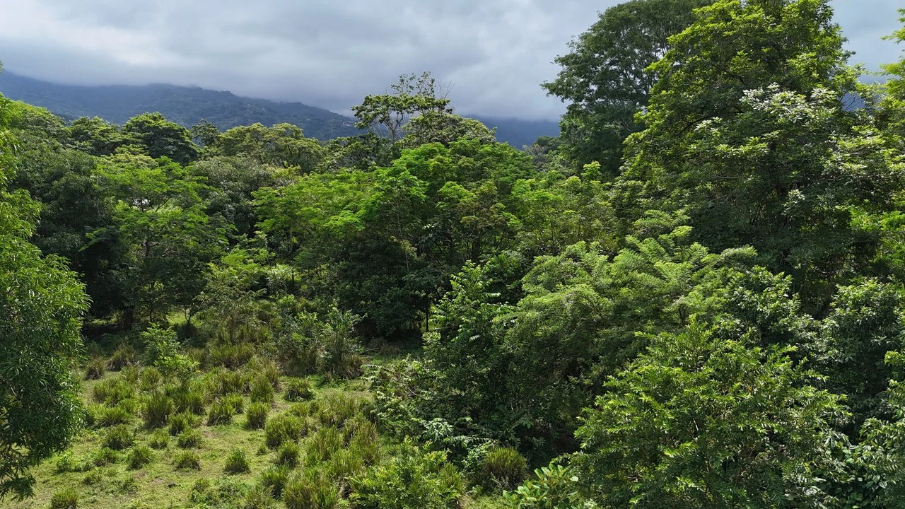 Walk to the beach, Developement Land, Mini Ranch, Central Uvita - Gallery image 15