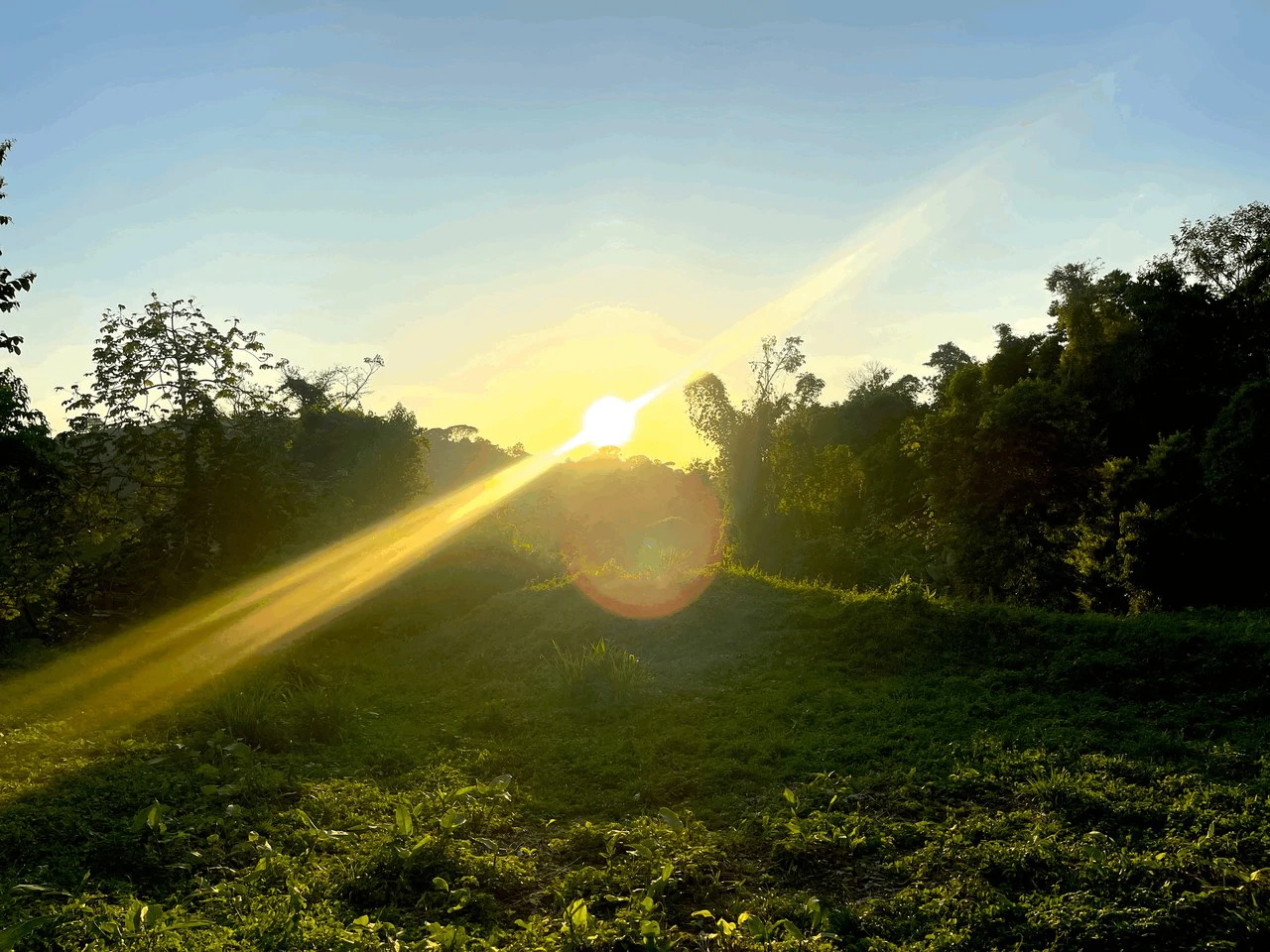7.56 ACRES – Ocean View Acreage In Lagunas, 50% Flat And Usable, Public Road, ASADA Water, Fruit Trees!!!! - Gallery image 5