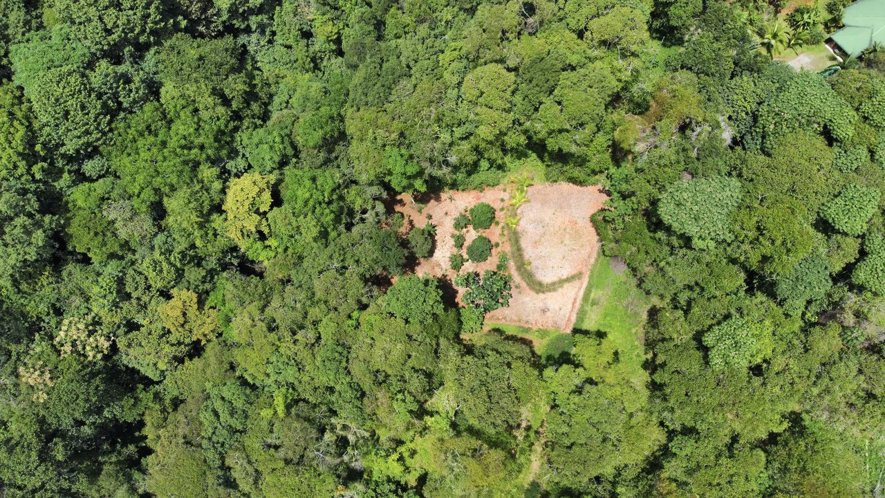 HALF ACRE LOT IN PLATANILLO, MINUTES TO THE BEACH OF DOMINICAL - Gallery image 3