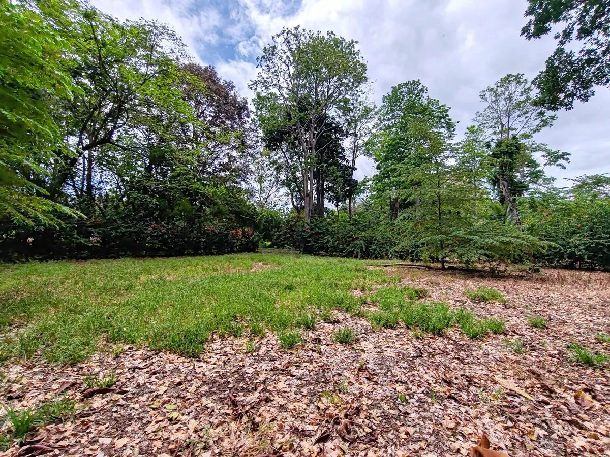 ID 1044: Build Ready Land Between Cahuita National Park and Puerto Viejo - Gallery image 7