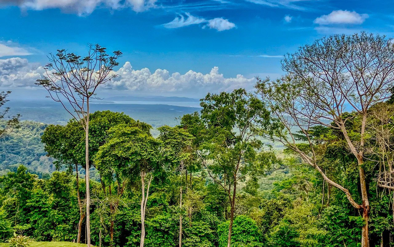 1.32 ACRES- Spectacular Ocean View In Tres Rios, Large Building Site, Legal Water And Electricity, Ready To Build & Close to Beaches!! - Gallery image 14