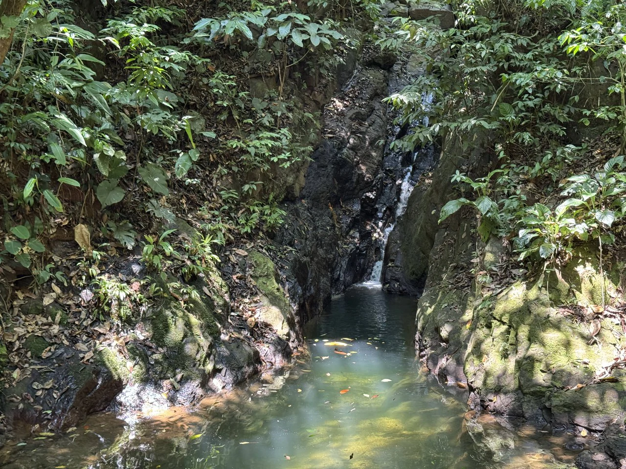 50 Acre Waterfall and River Paradise Above Dominical - Gallery image 3