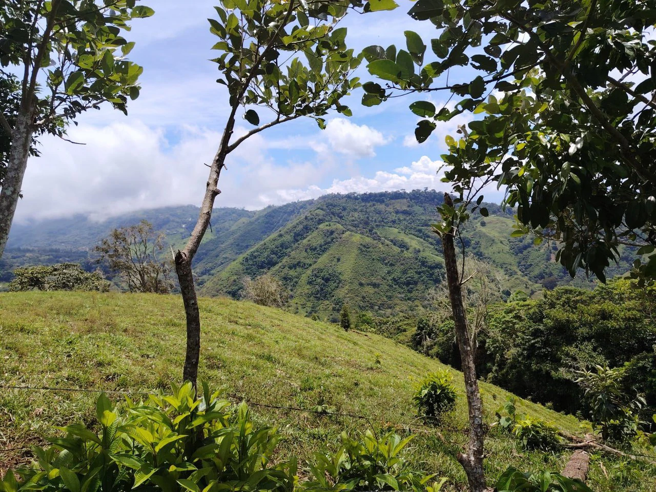 Lote en San Juan Bosco, Perez Zeledon, Costa Rica: Countryside Home Construction Site For Sale in Daniel Flores - Gallery image 4