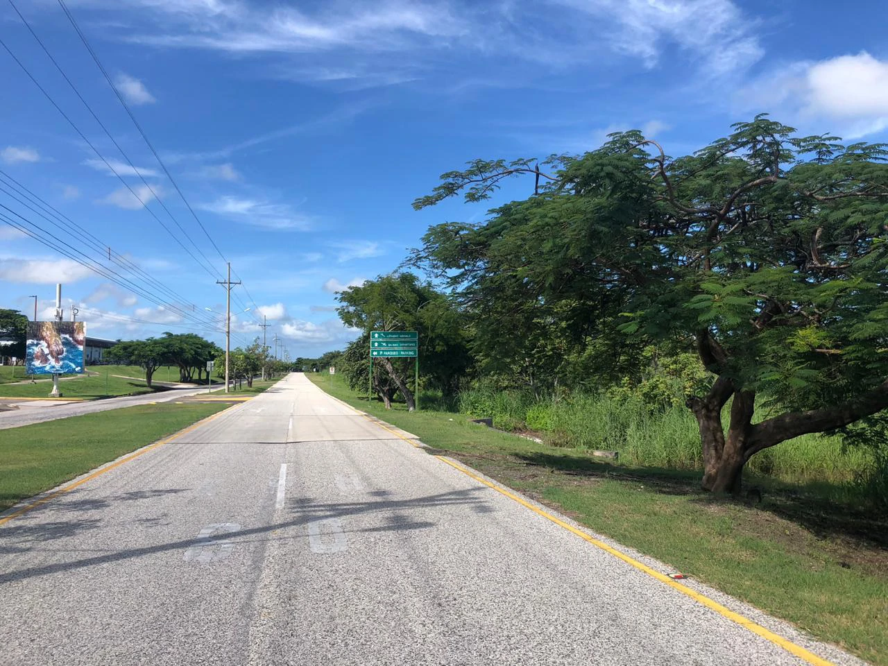 Great investment opportunity, property adjacent to Liberia Airport