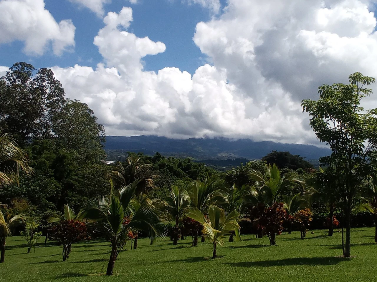 Sarchi City Compound: Spacious Private Finca near the City!