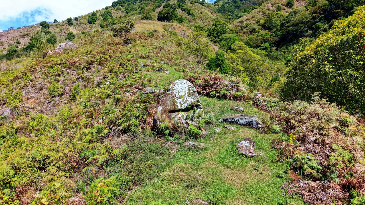 Mountain Agricultural Land For Sale in Herradura - Gallery image 8