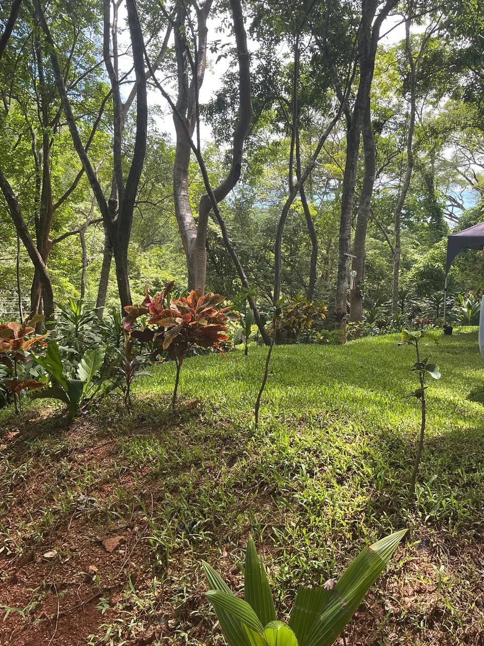 CASA PAZ: Affordable Escape Without Giving Up Convenience - Gallery image 16