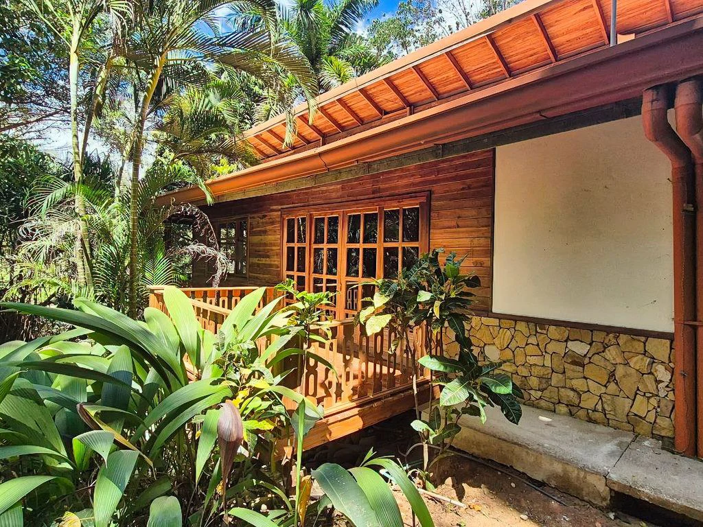Casa Mango: Charming Teak Home in a Tropical Setting Near Sámara - photo 6