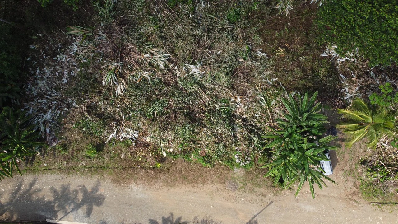 Ojochal - 1 Acre Ready To Build Jungle Lot, Ocean Breezes in Wildlife Corridore - Gallery image 7