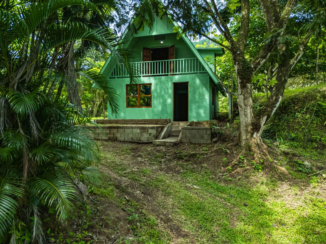 Casa Verde: Your Green Dream - Gallery image 4