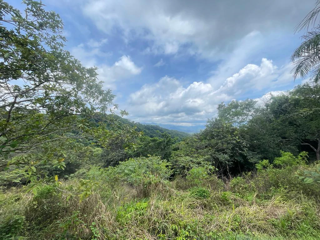 Lot for sale in Residential Vista Mar ocean and mountains view between San Mateo and Orotina Alajuela Costa Rica - Gallery image 5