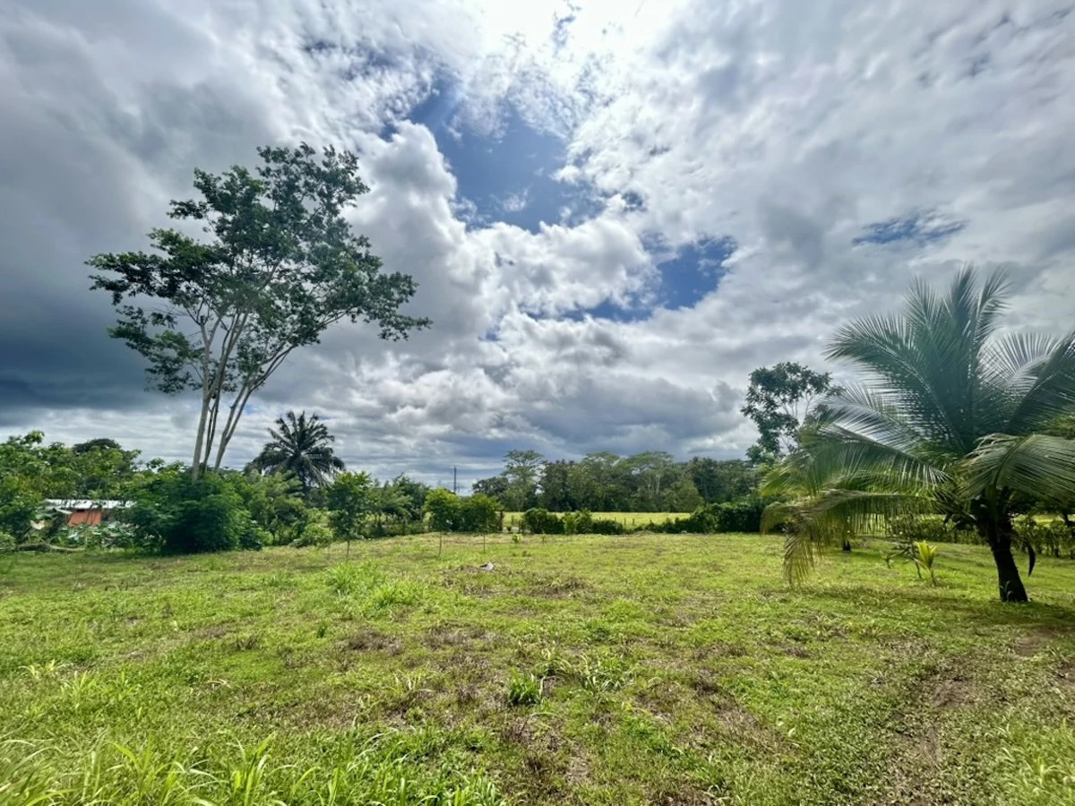 Large Building Lot Near Puerto Jiménez - Gallery image 5