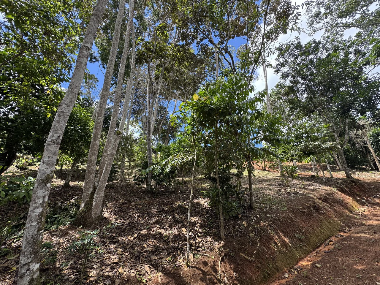 Prime 40,000 Sq. Ft. Building Lot with Mountain & Valley Views in Pérez Zeledón - Gallery image 7