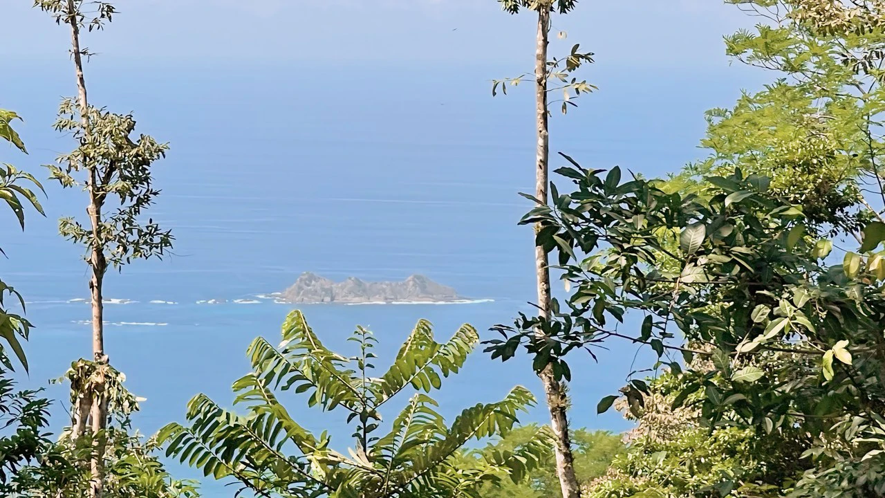 FINCA CERRO DEL TIGRE! OVER 20 ACRES OF PRIMARY FOREST AND WATERFALLS.: Mountain Agricultural Land For Sale in La Unión - Gallery image 18