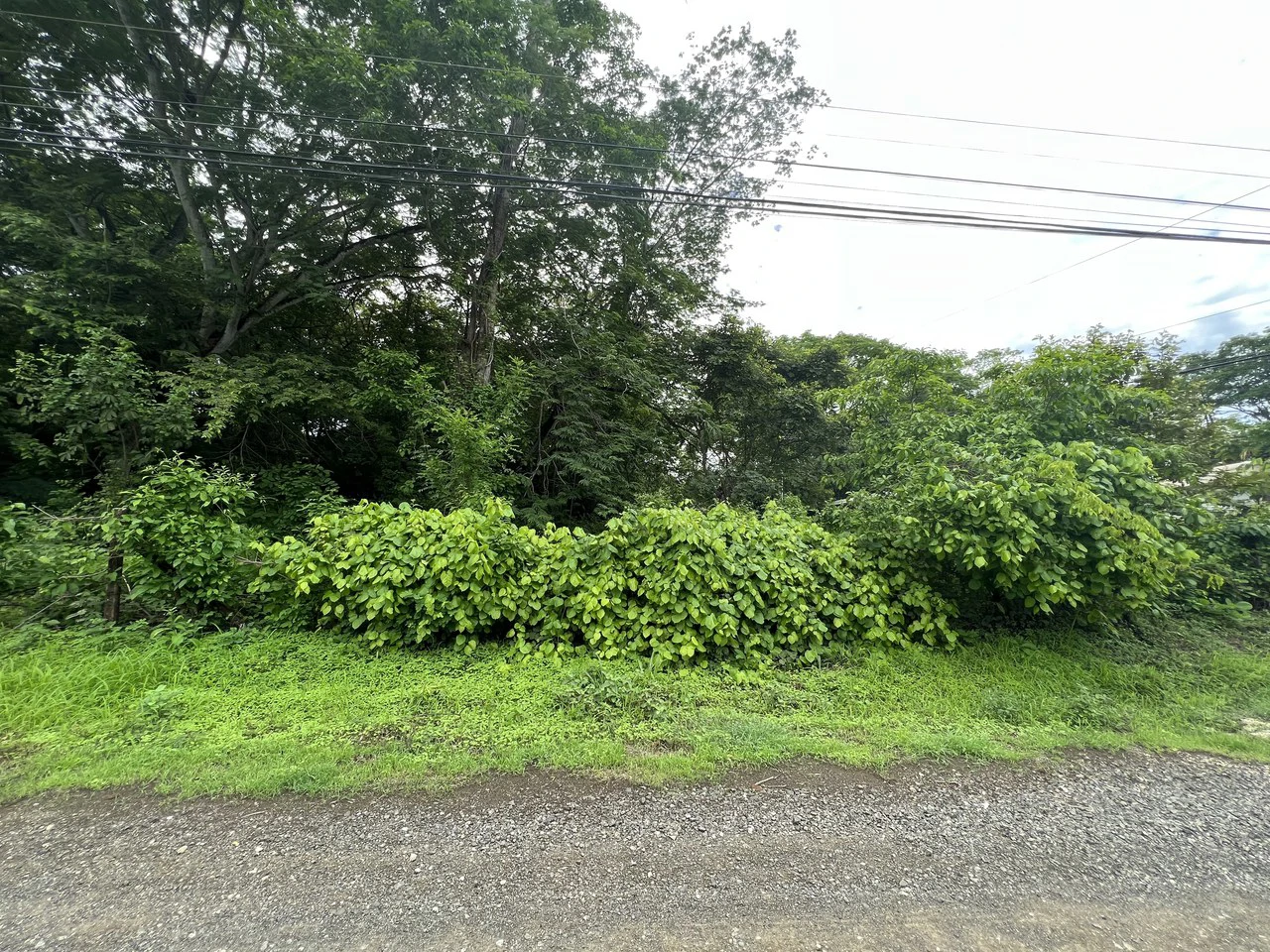Surfside Lot F15:  5-minute walk to the beach in Playa Potrero