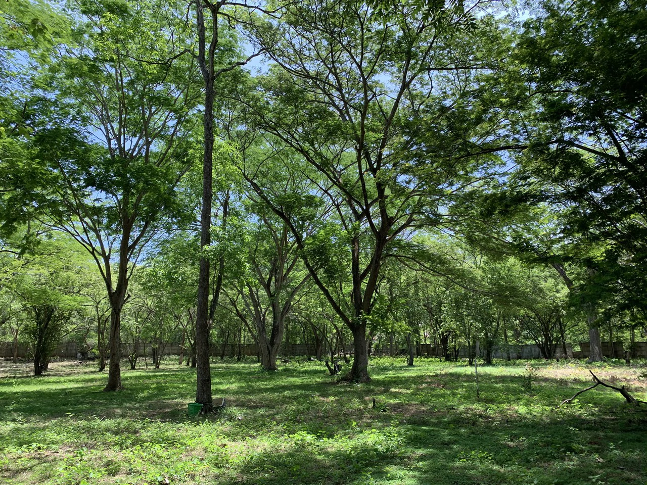 Conchal Bay: Ideal Lot To Build A Hotel Lodge By Conchal Beach - Gallery image 2