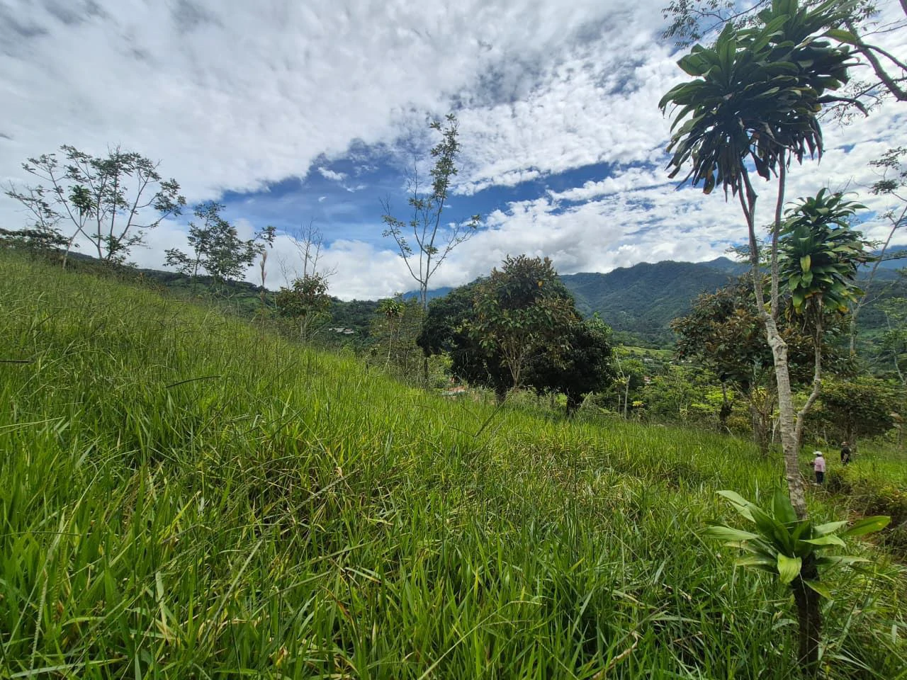 Se vende 6acres en San Antonio de Rivas, Pérez Zeledón: Countryside Home Construction Site For Sale in San Isidro del General - Gallery image 15