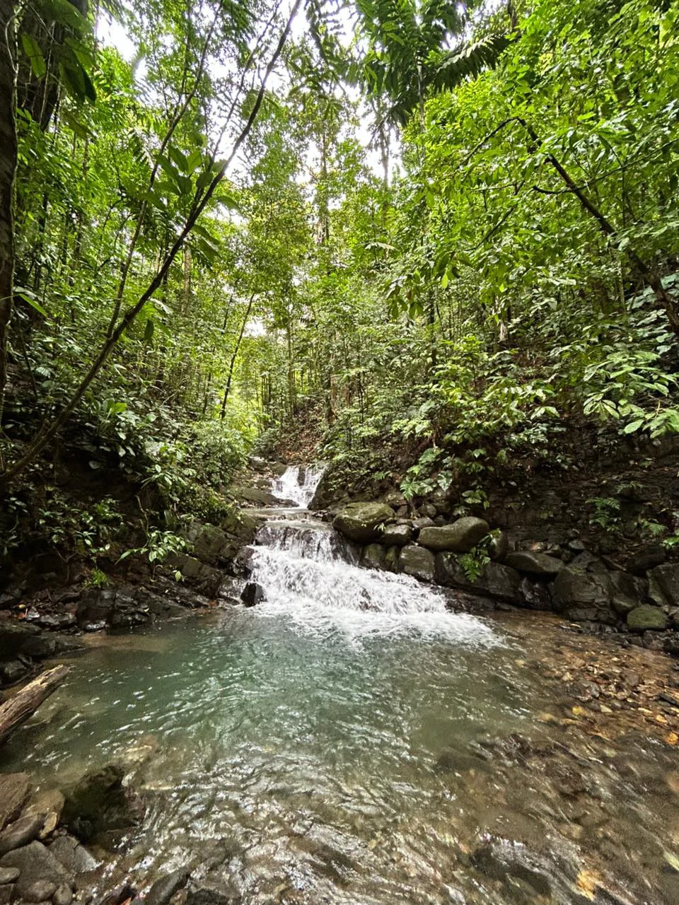 Finca Las Cataratas in Ballena: Mountain Home Construction Site For Sale in Bahía Ballena - Gallery image 25