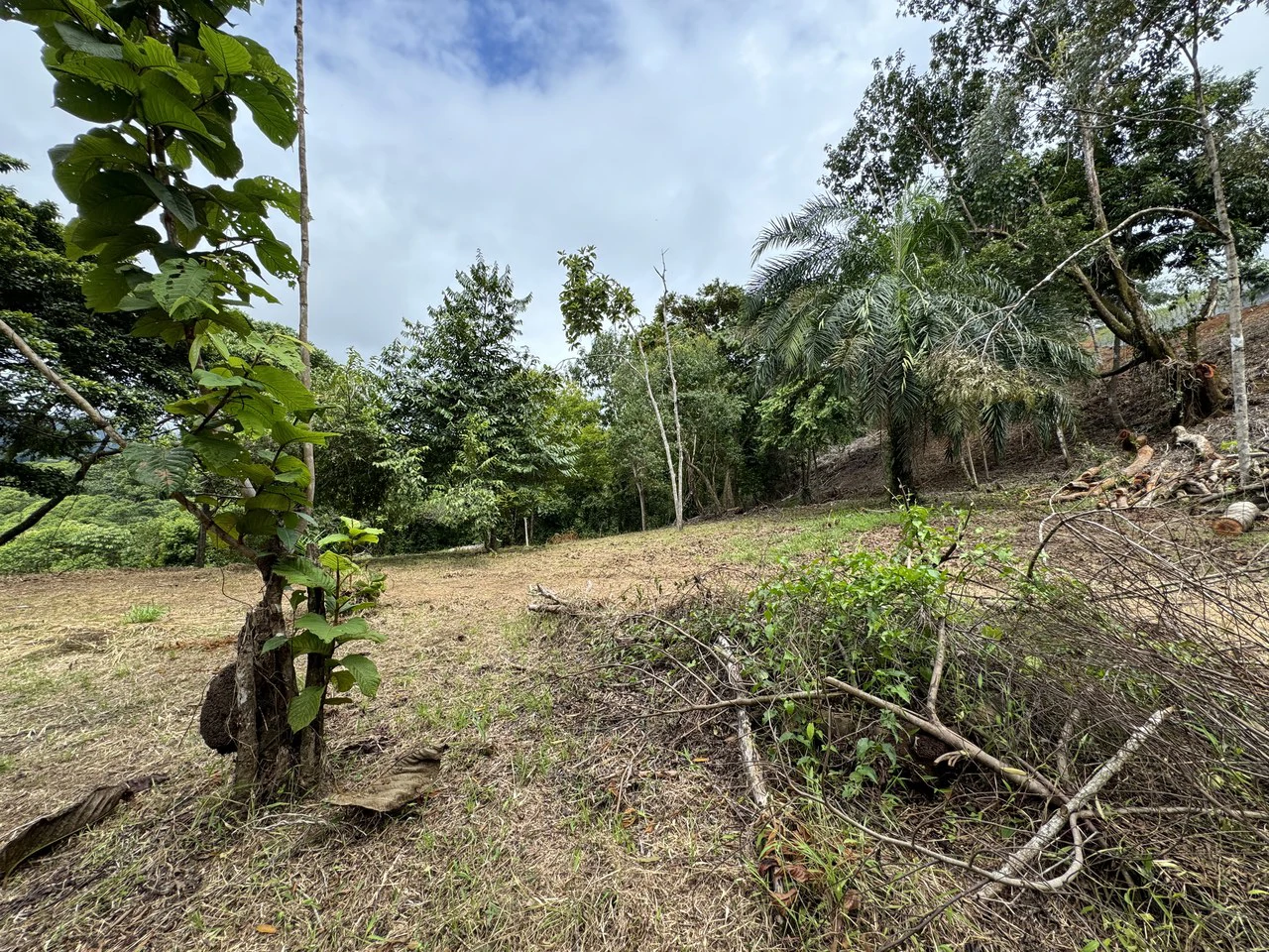 Diamante Waterfall View Land in Dominical 2.9 Acres - Gallery image 30
