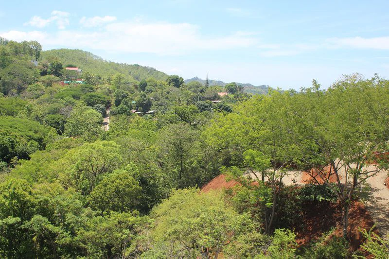 Lotes Alto Domingo - 5 Spacious Residential Lots with Forest and Mountain Vistas, Just 10 Minutes from the Beach: Mountain Home Construction Site For Sale in Sámara - Gallery image 6