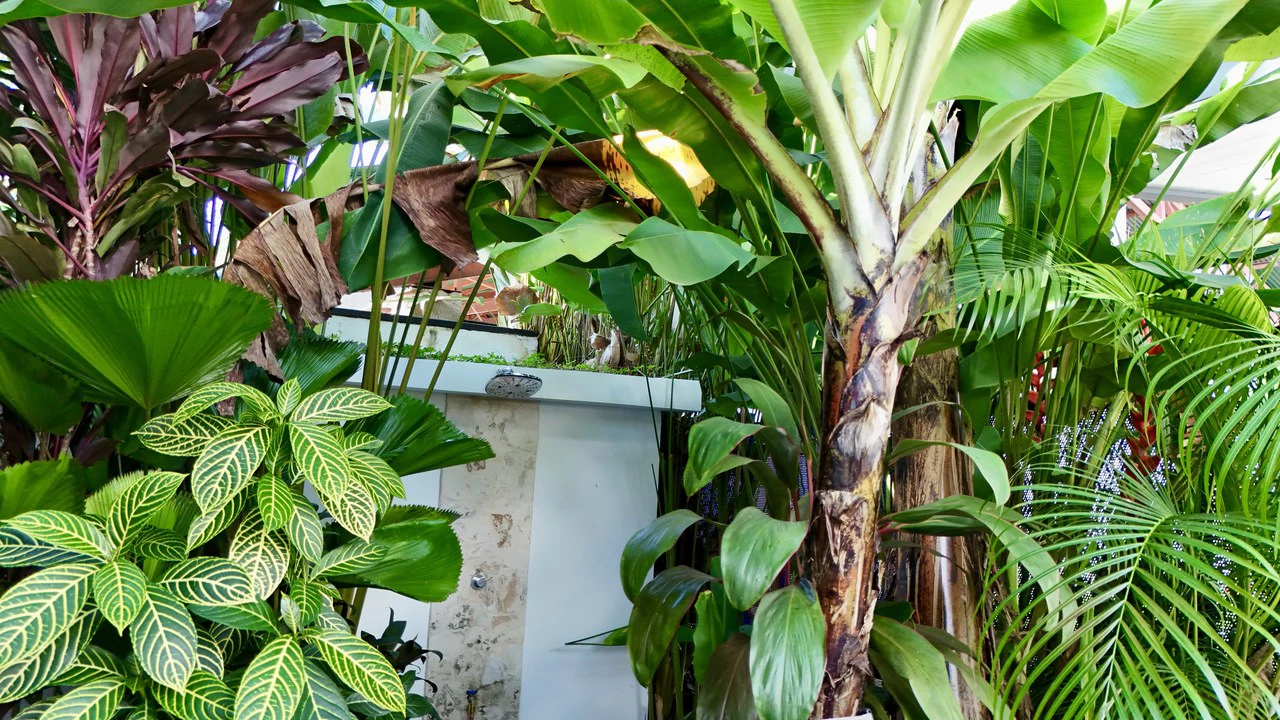 Walk-to-Everything Uvita Retreat | 3BR Home Minutes from the Beach - Gallery image 8