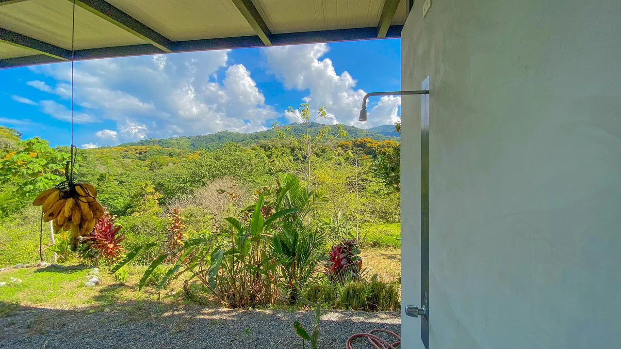 32 Acre Self Sustainable Farm with House Close Ojochal - Gallery image 30