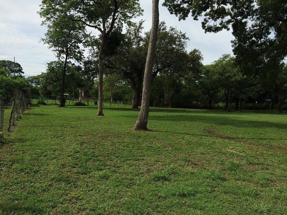 Propiedad grande: Home Construction Site For Sale in Liberia - Gallery image 14