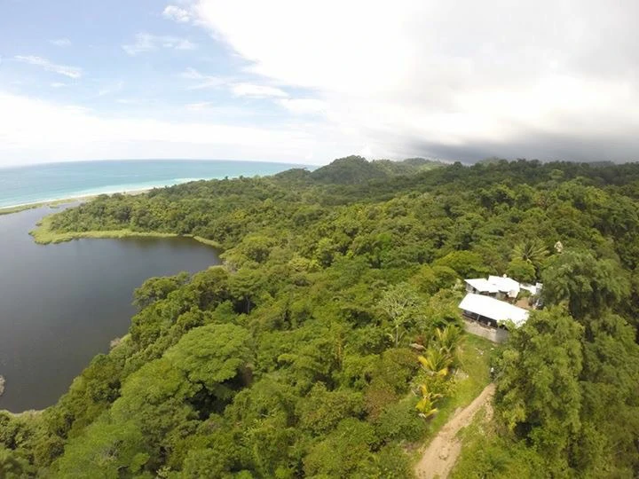 Osa Peninsula, Carate Beach: Incredible Ocean View above the Pacific - Gallery image 3