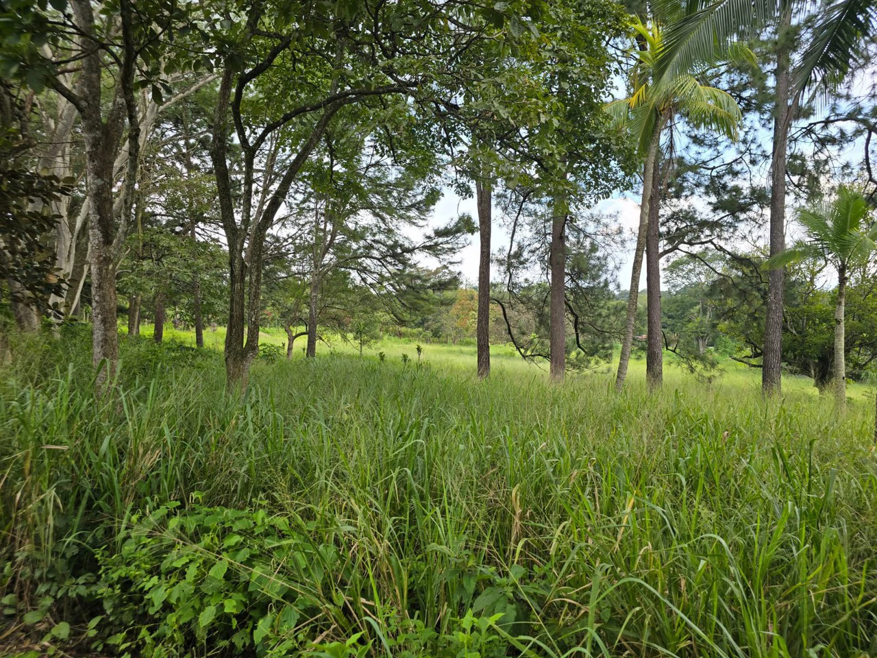 Land for sale in Residencial Montisel - Gallery image 4