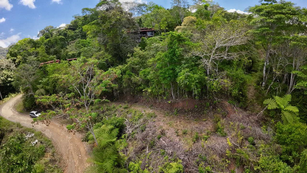 Ocean View Investment Opportunity - Gallery image 13