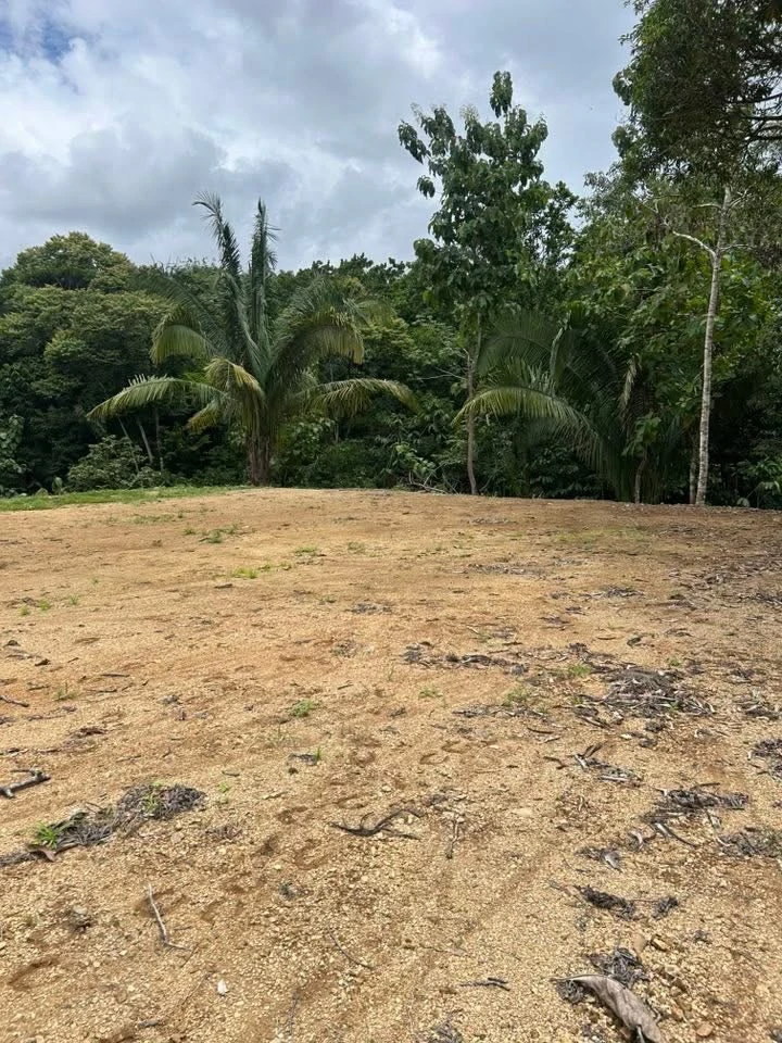 River Frontage Lot For Sale in Costa Rica Residential & Commercial Zoning - Gallery image 16